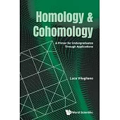 Homology and Cohomology: A Primer for Undergraduates Through Applications