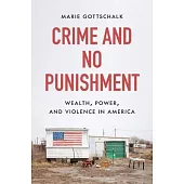 Crime and No Punishment: Wealth, Power, and Violence in America