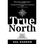 True North