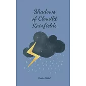 Shadows of Cloudlit Rainfields