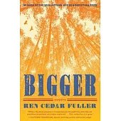 Bigger: Essays