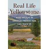 Real Life Yellowstone