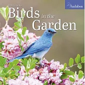 Audubon Birds in the Garden Wall Calendar 2026: Use Native Plants to Attract Birds and Pollinators to Your Backyard