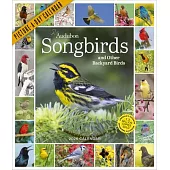 Audubon Songbirds and Other Backyard Birds Picture-A-Day(r) Wall Calendar 2026