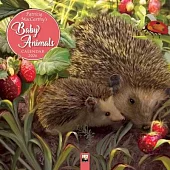 Patricia Maccarthy’s Baby Animals Wall Calendar 2026 (Art Calendar)