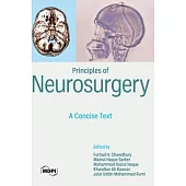 Principles of Neurosurgery: A Concise Text