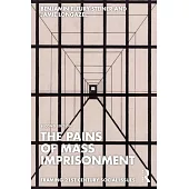 The Pains of Mass Imprisonment