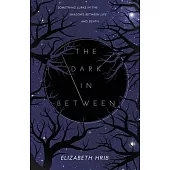 The Dark In-Between