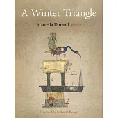 A Winter Triangle