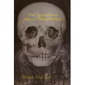 Two Appearances After the Resurrection