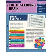 The Developing Brain: Exploring the Cognitive Domain