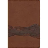 Niv, Timeline Bible, Leathersoft, Brown, Red Letter, Comfort Print: A Chronological Study Through Scripture