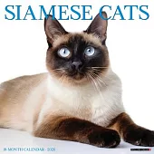 Siamese Cats 2026 Wall Calendar