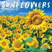 Sunflowers 2026 Wall Calendar