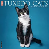 Tuxedo Cats 2026 Wall Calendar