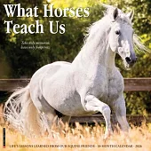 What Horses Teach Us 2026 Wall Calendar