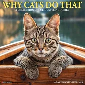 Why Cats Do That 2026 Wall Calendar