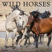 Wild Horses 2026 Wall Calendar