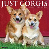 Corgis 2026 Wall Calendar