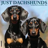 Dachshunds 2026 Wall Calendar