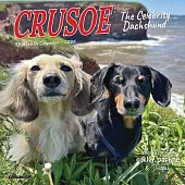 Crusoe the Celebrity Dachshund 2026 Mini Wall Calendar