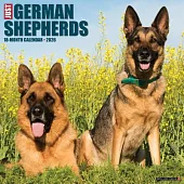 German Shepherds 2026 Wall Calendar