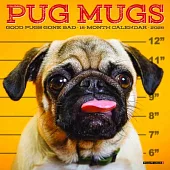 Pug Mugs 2026 Mini Wall Calendar