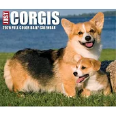 Corgis 2026 Box Calendar