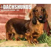 Dachshunds 2026 Box Calendar