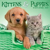 Kittens & Puppies 2026 Wall Calendar