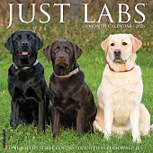 Labs 2026 Wall Calendar