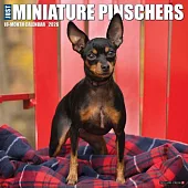 Miniature Pinschers 2026 Wall Calendar