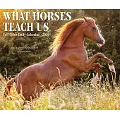 What Horses Teach Us 2026 Box Calendar