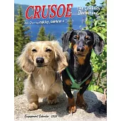 Crusoe the Celebrity Dachshund 2026 Engagement Calendar