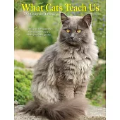 What Cats Teach Us 2026 Engagement Calendar
