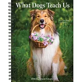 What Dogs Teach Us 2026 Engagement Calendar