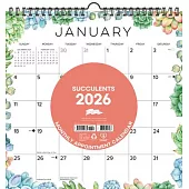Succulents 2026 12 X 12 Spiral Wall Calendar