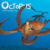 Octopus 2026 Wall Calendar