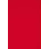 Silvia Rosi: Protektorat