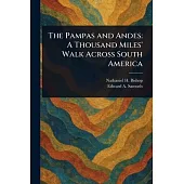 The Pampas and Andes: A Thousand Miles’ Walk Across South America