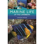 Marine Life of the Caribbean