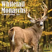 Whitetail Monarchs (Deer) 2026 12 X 12 Wall Calendar