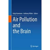 Air Pollution and the Brain
