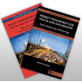 Project Management for the Oil and Gas Industry