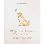 10 Spiritual Lessons You Can Learn from Your Dog: Essential Life Lessons We Can Learn from Our Furry Friend