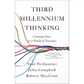 Third Millennium Thinking: Creating Sense in a World of Nonsense
