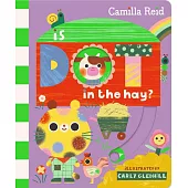 Is Dot in the Hay?: A Sliding Tab and Mirror Book for Toddlers (Dot & You, 3)