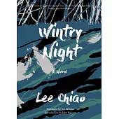 Wintry Night: A Novel