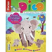 Focus Pico 5月號/2025