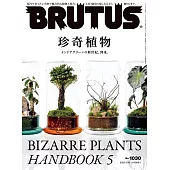 BRUTUS 5月15日/2025